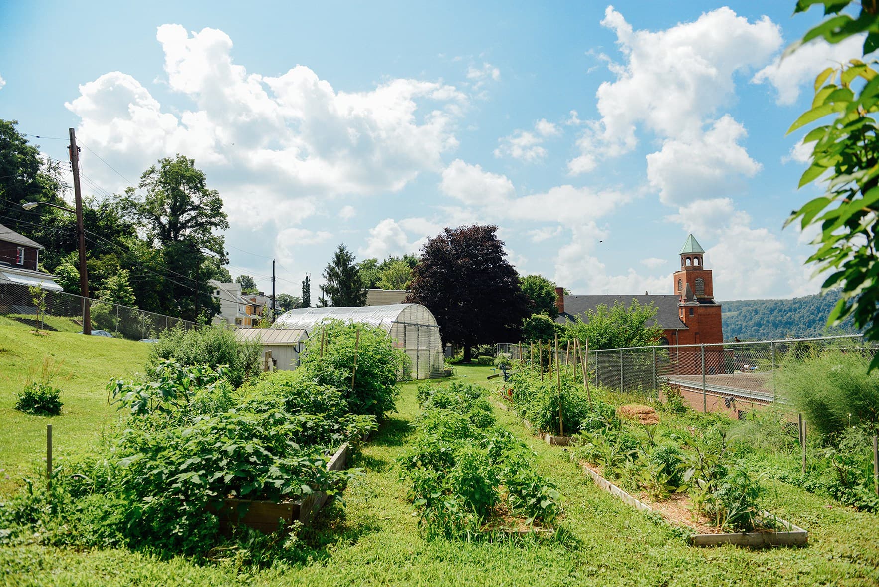 Hazelwood community garden, a green space built by residents.
